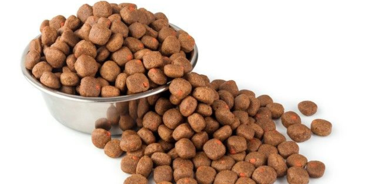 16 Fornecedores de Rações para Cães e Gatos no Atacado para Revenda